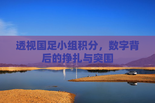 透视国足小组积分，数字背后的挣扎与突围