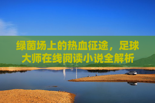 绿茵场上的热血征途，足球大师在线阅读小说全解析