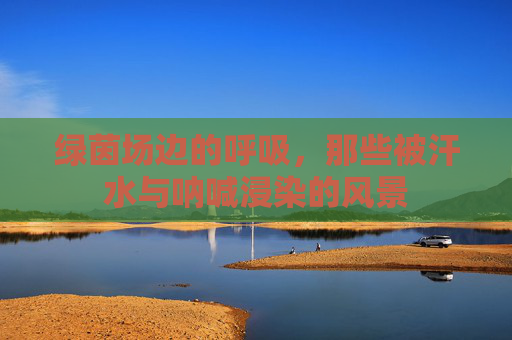 绿茵场边的呼吸，那些被汗水与呐喊浸染的风景