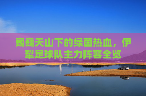 巍巍天山下的绿茵热血,伊犁足球队主力阵容全览