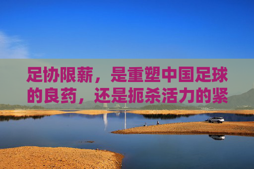 足协限薪,是重塑中国足球的良药,还是扼杀活力的紧箍咒?