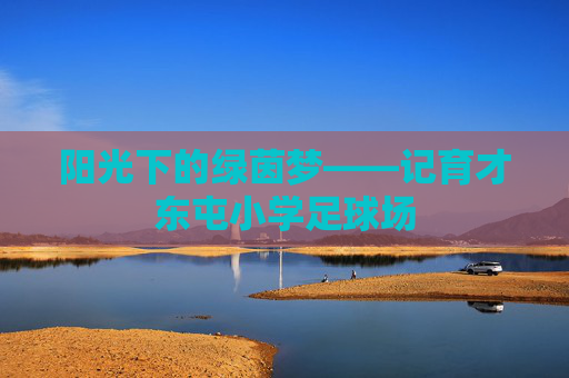 阳光下的绿茵梦——记育才东屯小学足球场