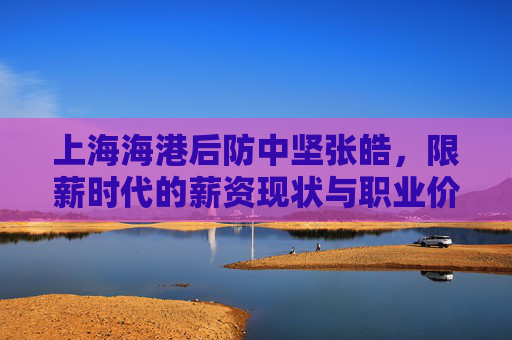 上海海港后防中坚张皓，限薪时代的薪资现状与职业价值
