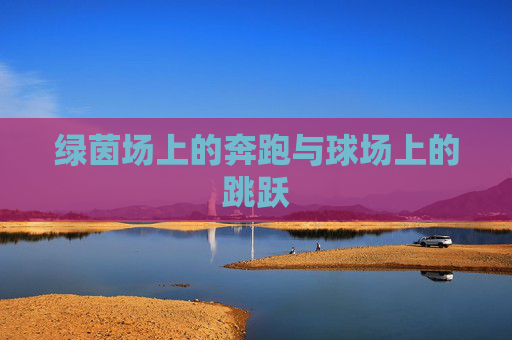 绿茵场上的奔跑与球场上的跳跃
