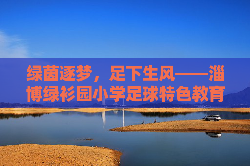 绿茵逐梦，足下生风——淄博绿衫园小学足球特色教育侧记