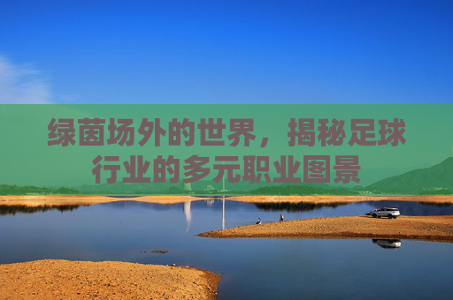 绿茵场外的世界，揭秘足球行业的多元职业图景