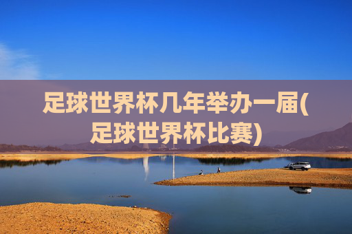 足球世界杯几年举办一届(足球世界杯比赛)
