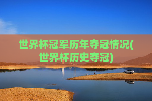 世界杯冠军历年夺冠情况(世界杯历史夺冠)