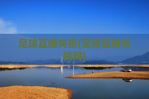 足球直播央视(足球直播央视网)