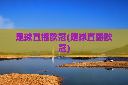足球直播欧冠(足球直播欧冠)
