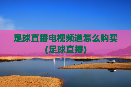 足球直播电视频道怎么购买(足球直播)