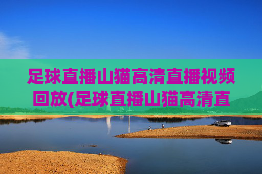 足球直播山猫高清直播视频回放(足球直播山猫高清直播视频回放在线观看)