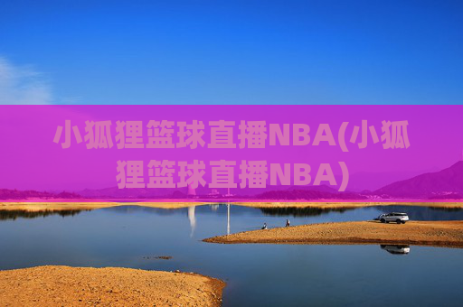 小狐狸篮球直播NBA(小狐狸篮球直播NBA)