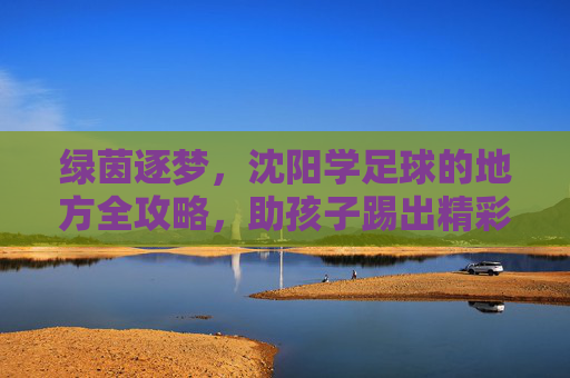 绿茵逐梦，沈阳学足球的地方全攻略，助孩子踢出精彩人生
