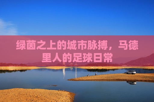 绿茵之上的城市脉搏，马德里人的足球日常