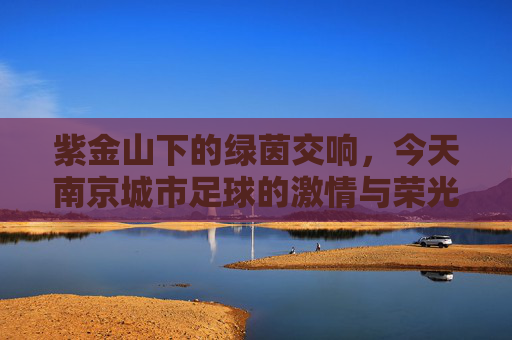 紫金山下的绿茵交响,今天南京城市足球的激情与荣光