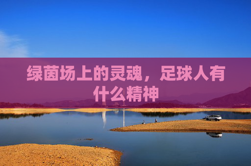 绿茵场上的灵魂,足球人有什么精神