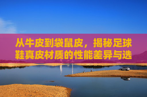 从牛皮到袋鼠皮,揭秘足球鞋真皮材质的性能差异与选择指南