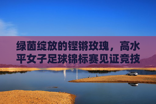 绿茵绽放的铿锵玫瑰,高水平女子足球锦标赛见证竞技巅峰与女性力量
