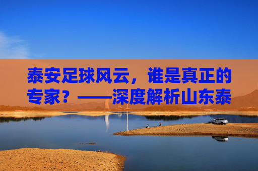 泰安足球风云,谁是真正的专家?——深度解析山东泰山的幕后推手