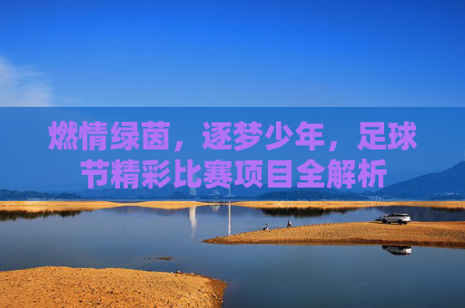 燃情绿茵,逐梦少年,足球节精彩比赛项目全解析