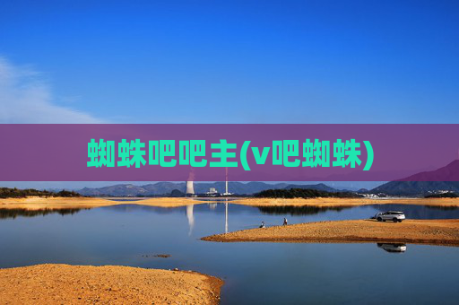 蜘蛛吧吧主(v吧蜘蛛)