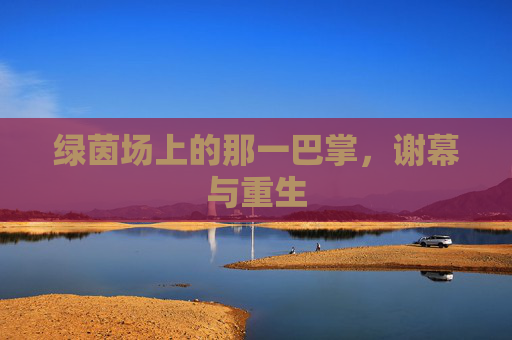 绿茵场上的那一巴掌,谢幕与重生