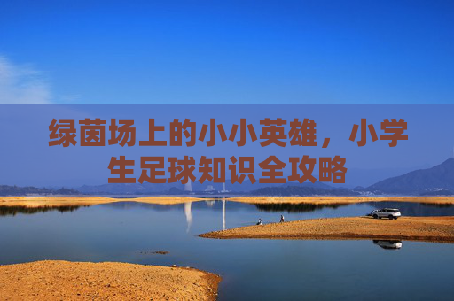 绿茵场上的小小英雄,小学生足球知识全攻略