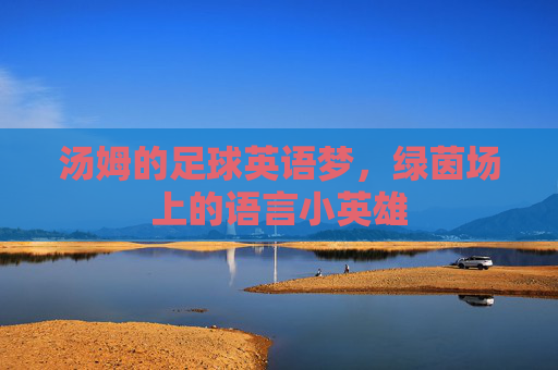 汤姆的足球英语梦,绿茵场上的语言小英雄