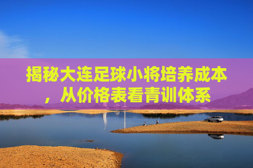 揭秘大连足球小将培养成本,从价格表看青训体系