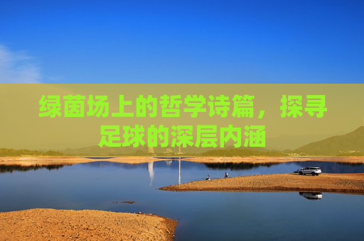 绿茵场上的哲学诗篇,探寻足球的深层内涵