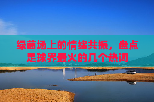 绿茵场上的情绪共振,盘点足球界最火的几个热词