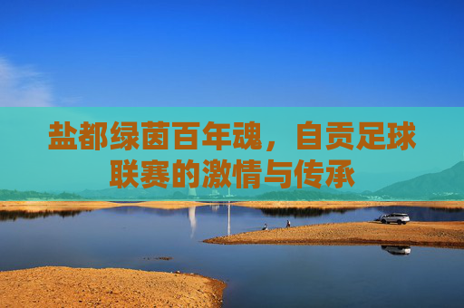 盐都绿茵百年魂,自贡足球联赛的激情与传承