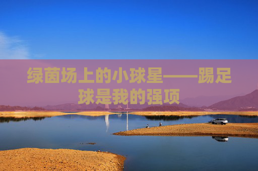 绿茵场上的小球星——踢足球是我的强项