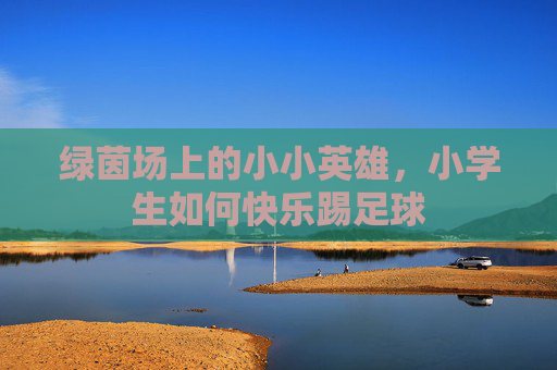 绿茵场上的小小英雄，小学生如何快乐踢足球