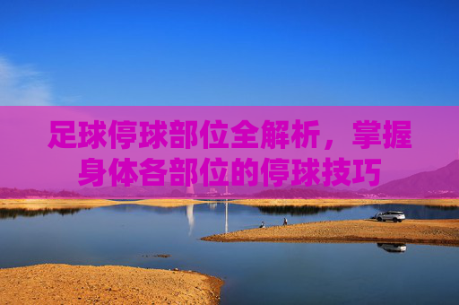 足球停球部位全解析,掌握身体各部位的停球技巧