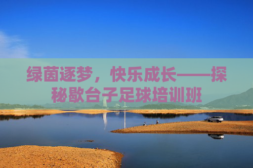 绿茵逐梦,快乐成长——探秘歇台子足球培训班