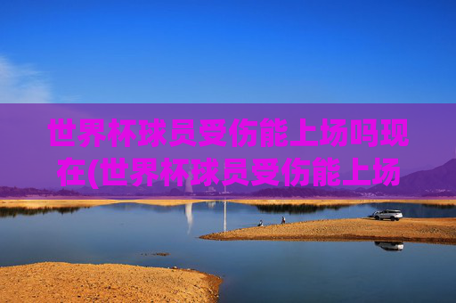 世界杯球员受伤能上场吗现在(世界杯球员受伤能上场吗现在怎么样)