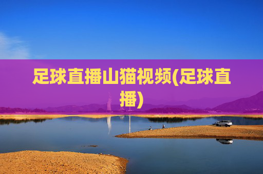 足球直播山猫视频(足球直播)