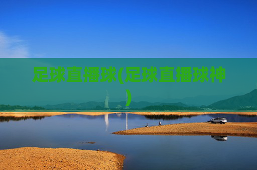 足球直播球(足球直播球神)