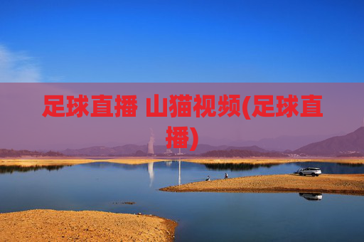 足球直播 山猫视频(足球直播)