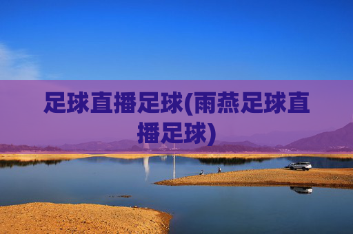 足球直播足球(雨燕足球直播足球)