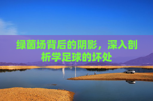 绿茵场背后的阴影,深入剖析学足球的坏处