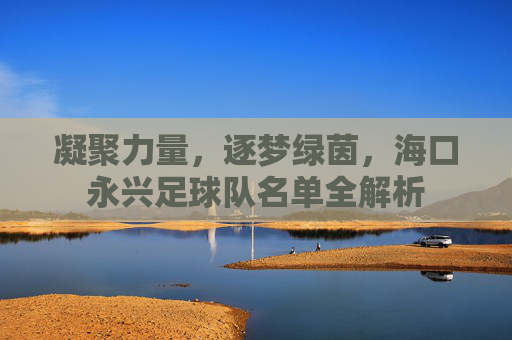 凝聚力量,逐梦绿茵,海口永兴足球队名单全解析