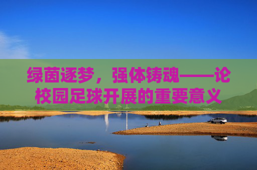 绿茵逐梦,强体铸魂——论校园足球开展的重要意义