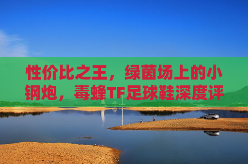 性价比之王，绿茵场上的小钢炮，毒蜂TF足球鞋深度评测