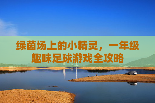 绿茵场上的小精灵,一年级趣味足球游戏全攻略