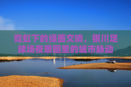 霓虹下的绿茵交响,银川足球场夜景图里的城市脉动