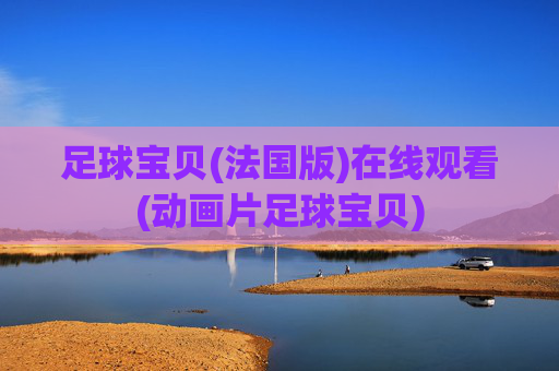足球宝贝(法国版)在线观看(动画片足球宝贝)