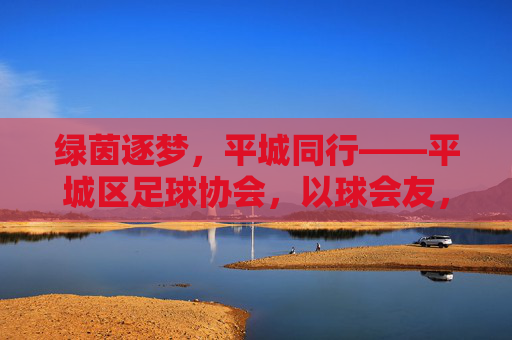 绿茵逐梦,平城同行——平城区足球协会,以球会友,共筑体育梦想